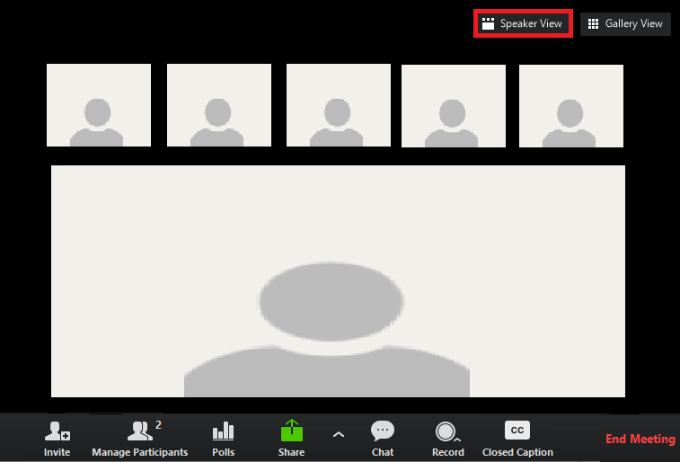 Zoom Speaker View