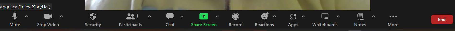 Zoom navigation bar UI