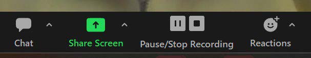 Zoom navigation bar Pause/Stop Recording buttons