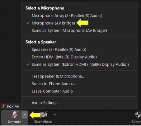 Zoom: In-Meeting Audio options