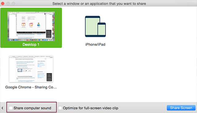 Zoom Screen Sharing dialog window