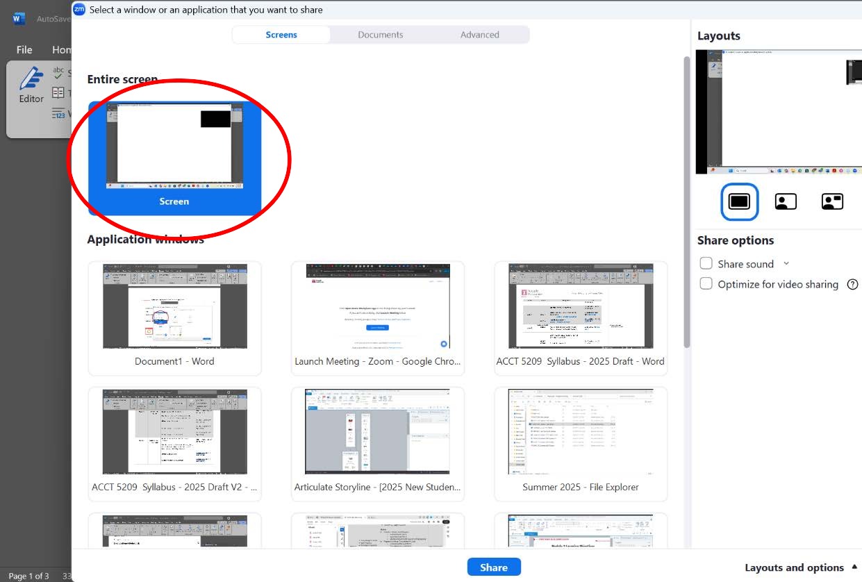 screenshot of the Zoom screen sharing options dialog with the Entire screen option highlighted